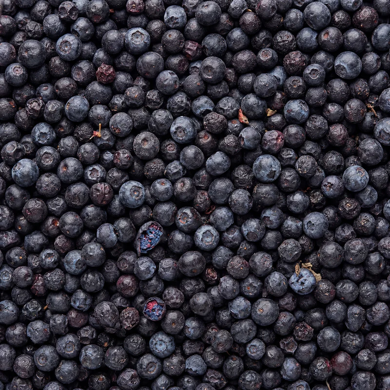 Wildheidelbeeren gefriergetrocknet · knusprige Vollfrucht ohne Zuckerzusatz · gefriergetrocknete Früchte · Freeze-dried wild blueberries - GreatVita - Image 3